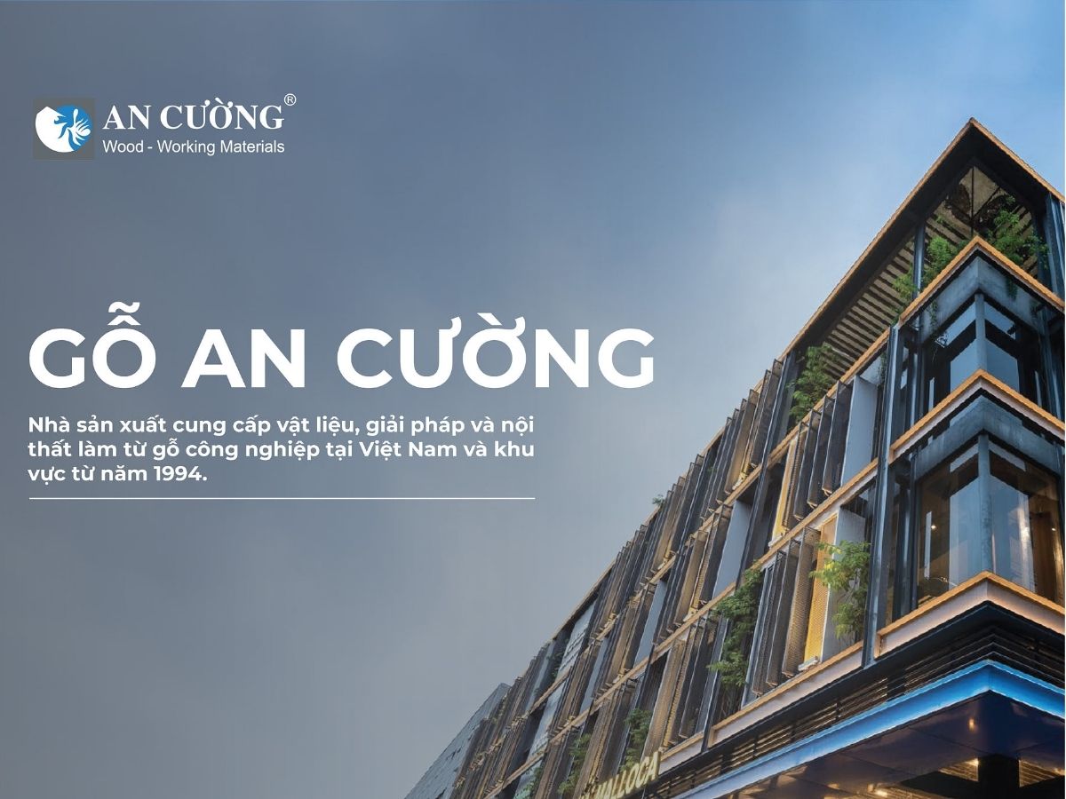 chủ đầu tư an cường của the win city chủ đầu tư an cường của the win city